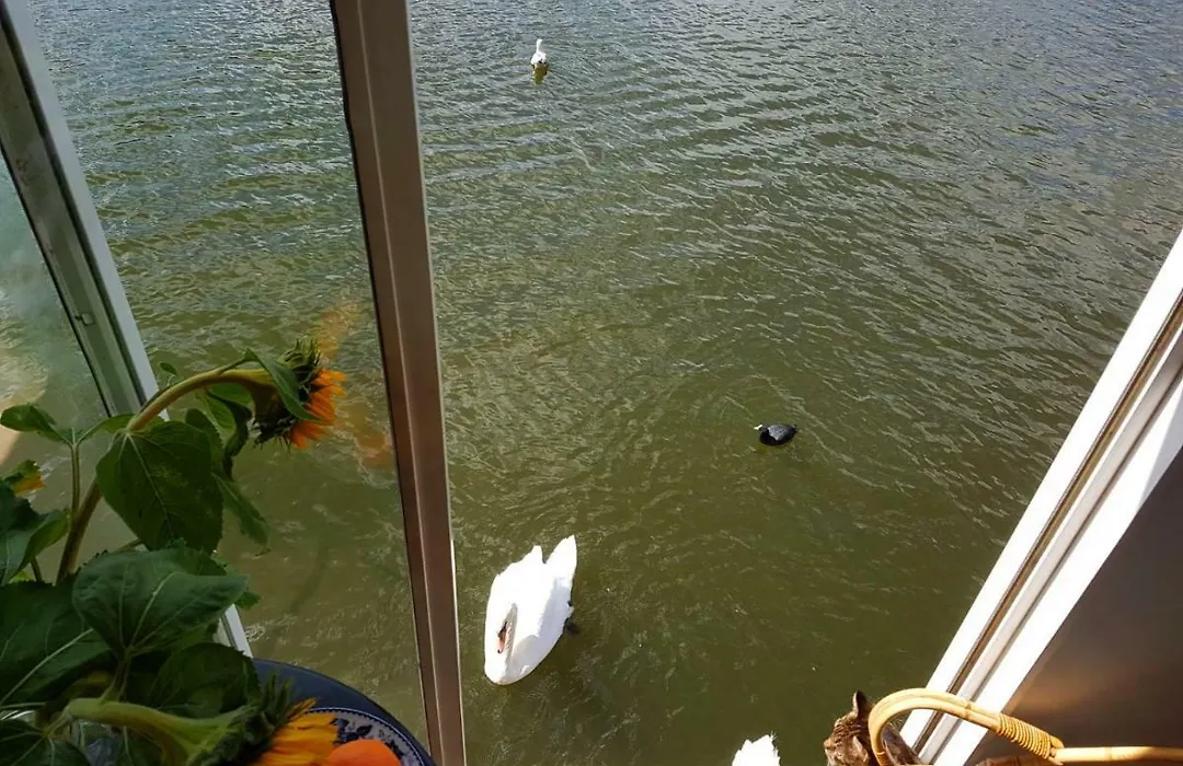 Houseboat Concordia B&B-1