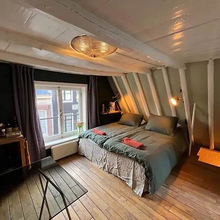 Attic Monkeys Lodge-3